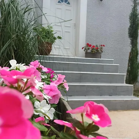فيلة San Salvador تورايْ